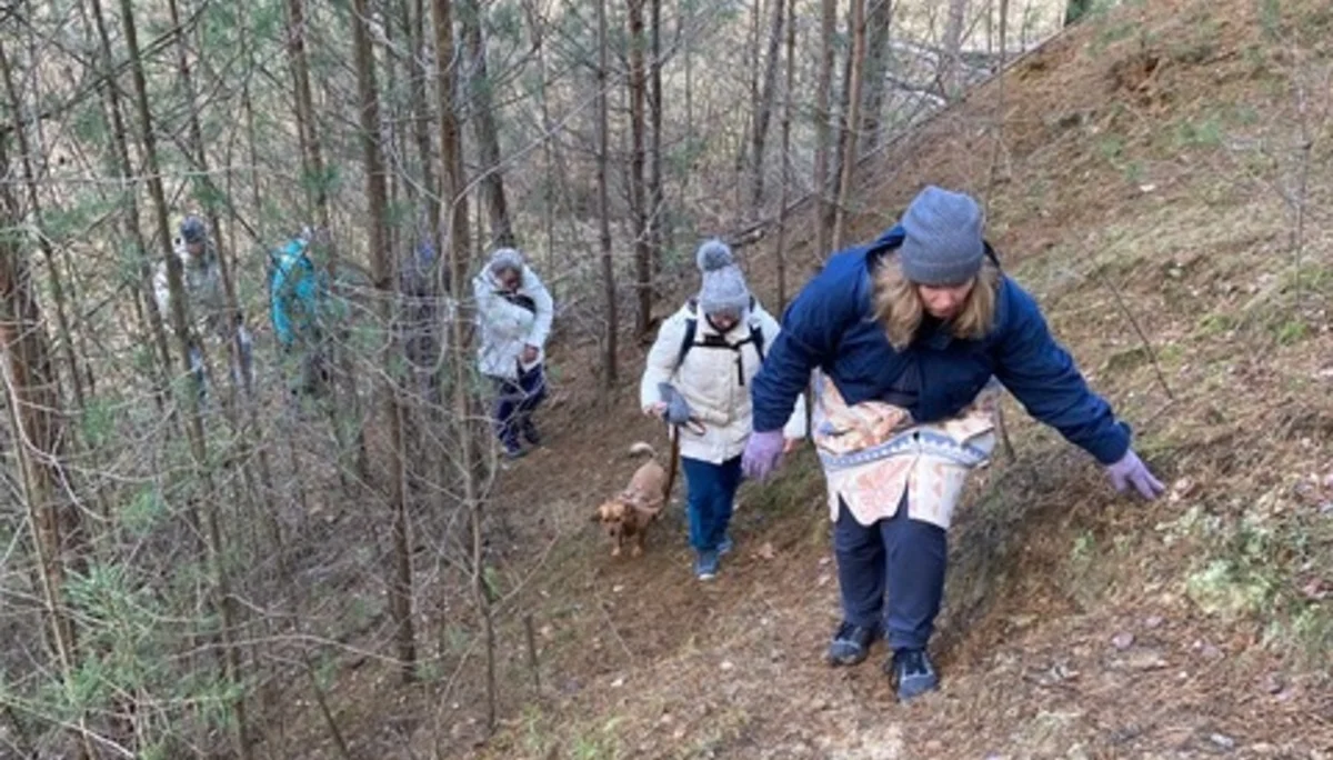 Die Abbruchkante hinauf an der Hainburger Tongrube | © DAV Offenbach, Dr. Thomas Woznik