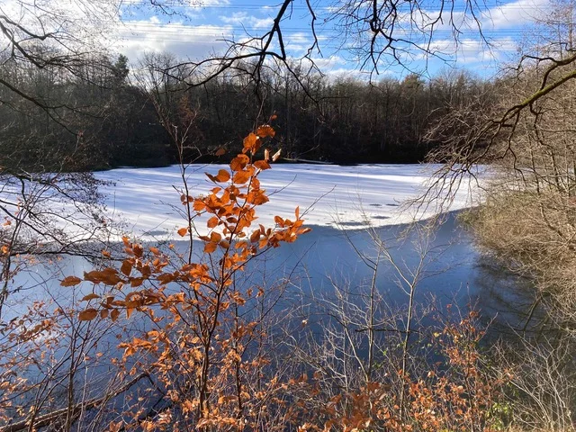 Blick auf den Steinbruchsee des ASV Steinheim | © DAV Offenbach, Dr. Thomas Woznik