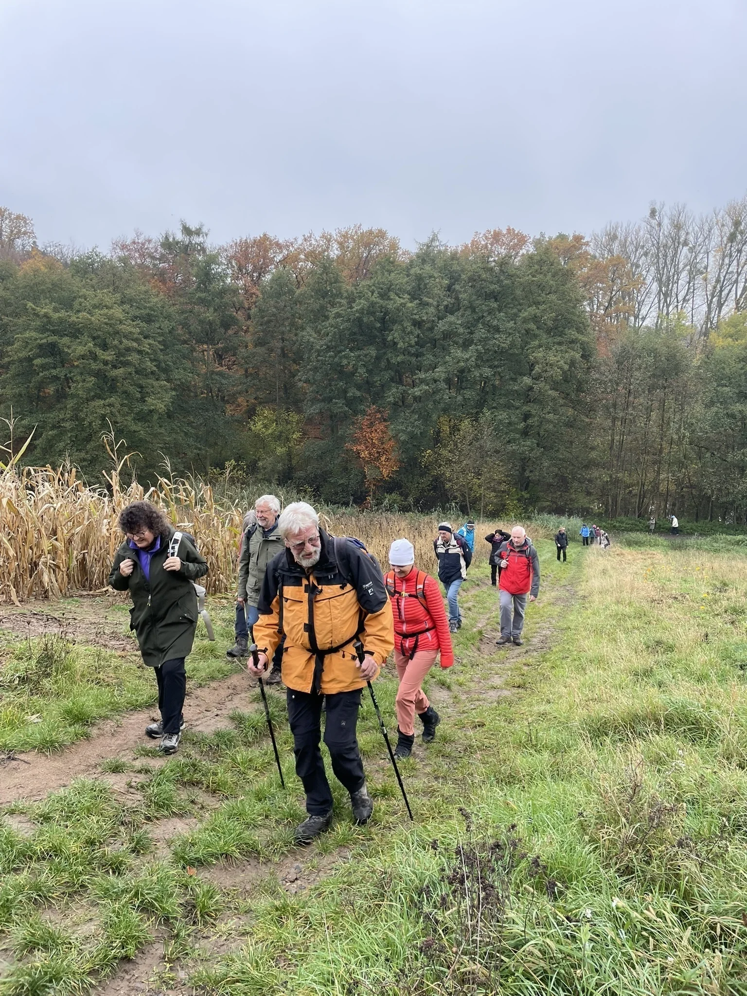 Wandergruppe im Aufstieg | © DAV Offenbach