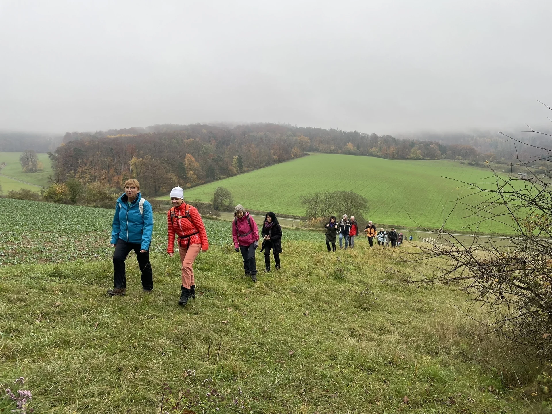Wandergruppe im Aufstieg mit Nebel über den Hügeln | © DAV Offenbach