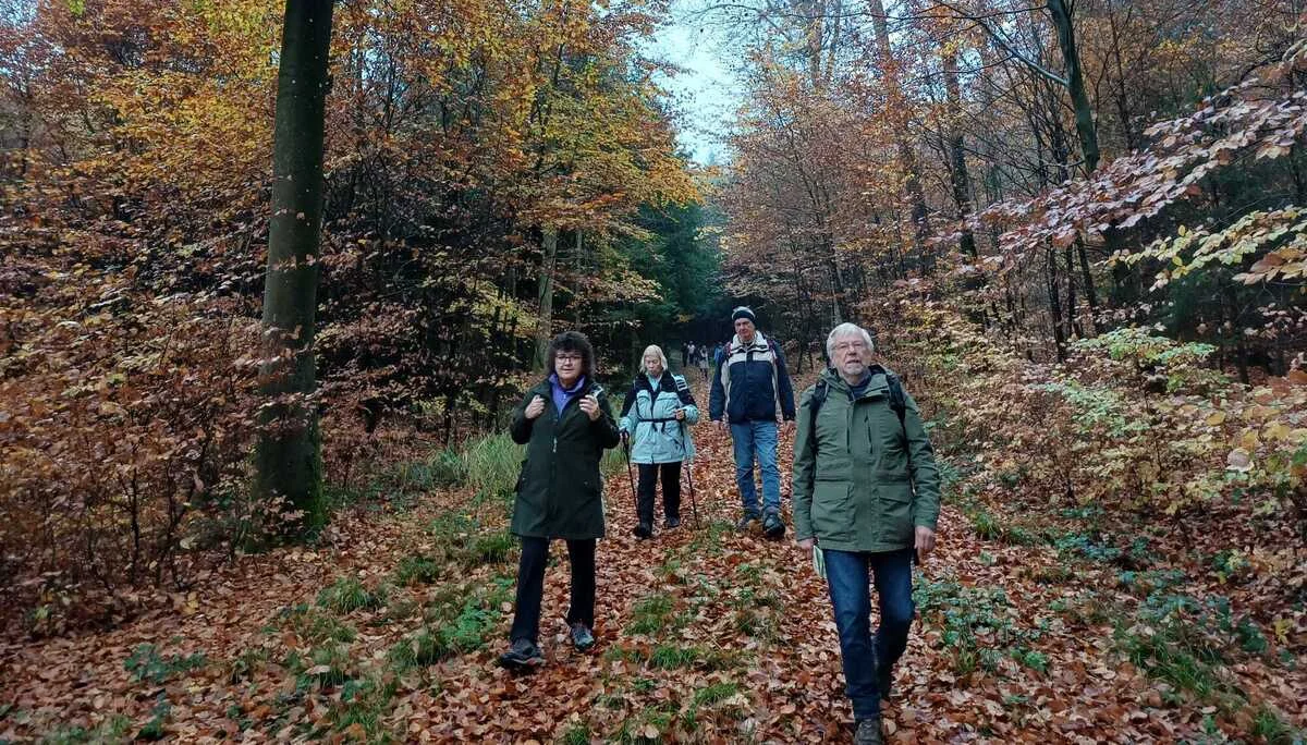 Wanderer im herbstlichen Wald | © DAV Offenbach