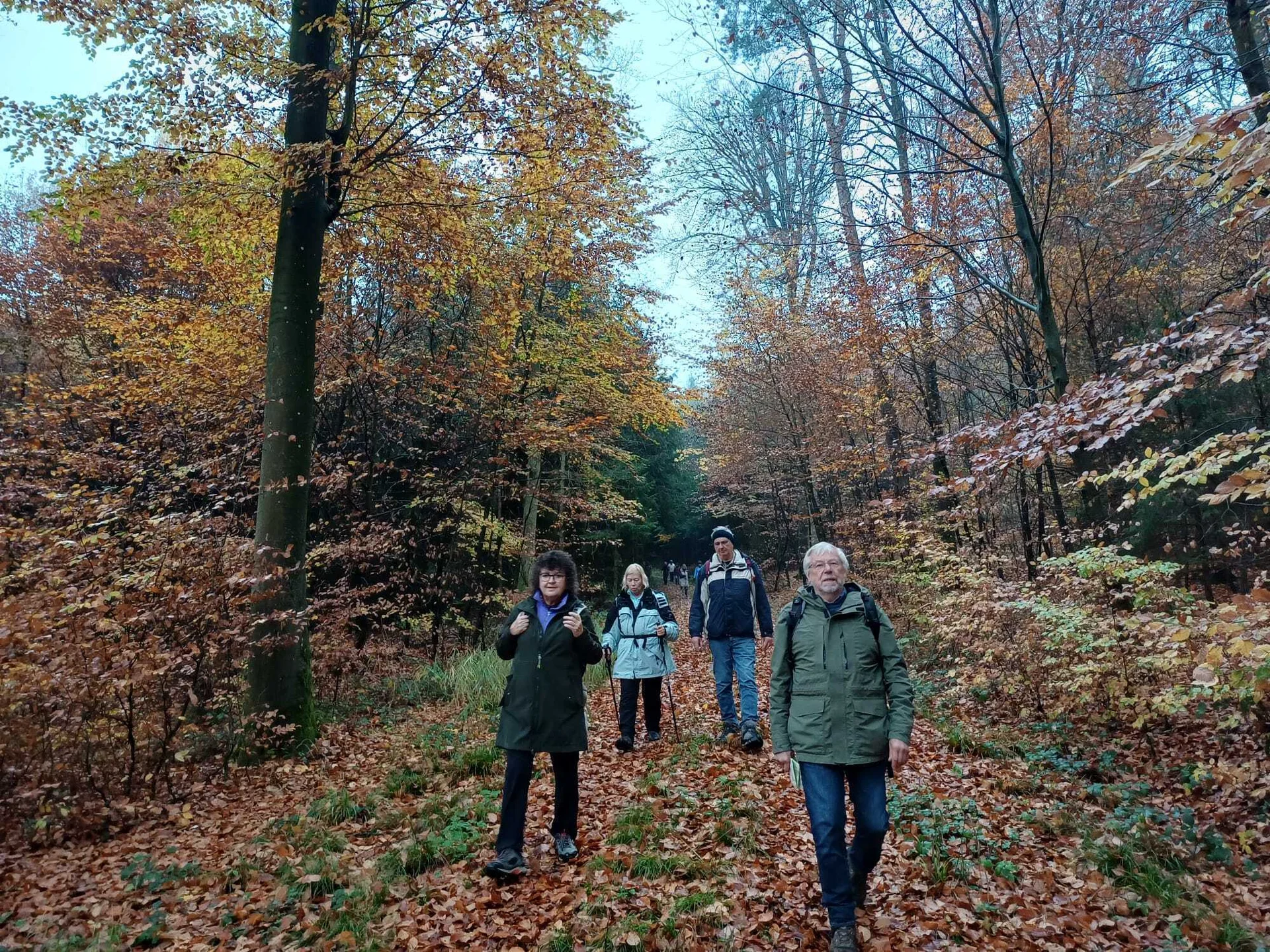 Wanderer im herbstlichen Wald | © DAV Offenbach