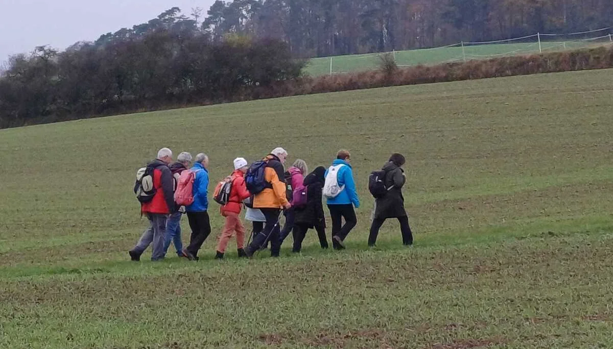 Wandergruppe unterwegs im offenen Wiesengelände | © DAV Offenbach