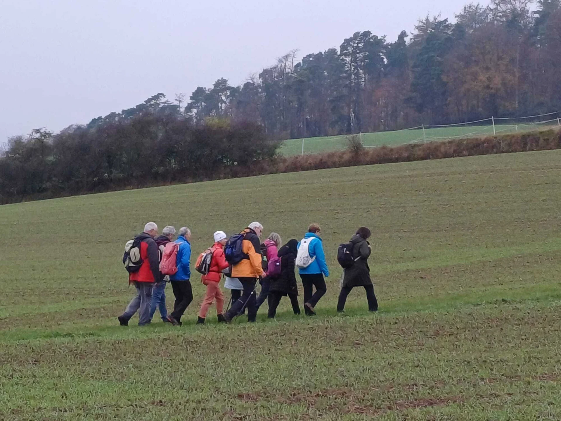 Wandergruppe unterwegs im offenen Wiesengelände | © DAV Offenbach