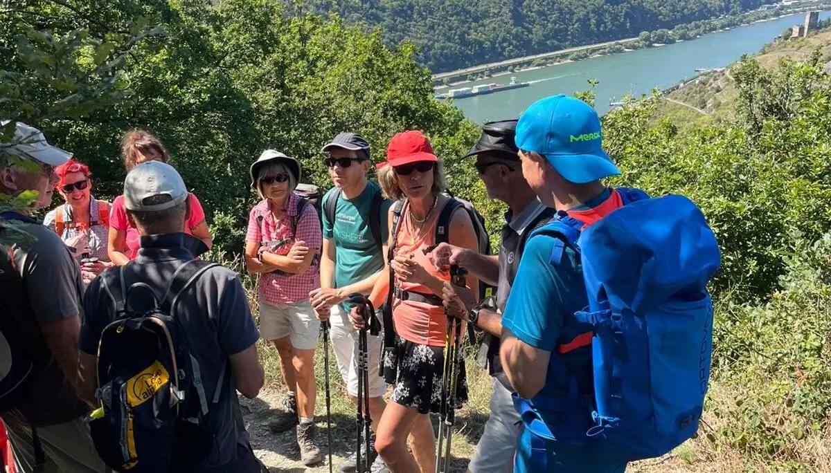 Aufstieg Rheinsteig bei herrlichem Wetter | © DAV Offenbach, Jeannette Peters