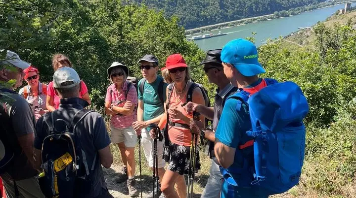 Aufstieg Rheinsteig bei herrlichem Wetter | © DAV Offenbach, Jeannette Peters