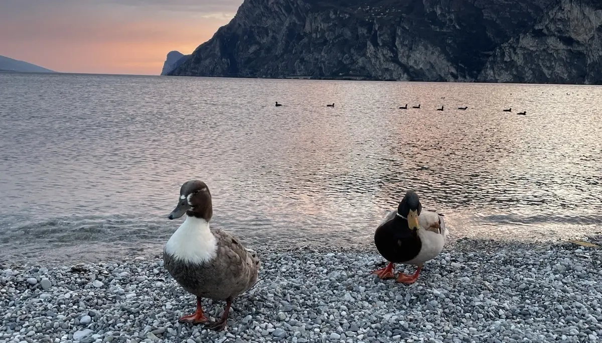 © Felix Brune, DAV Offenbach