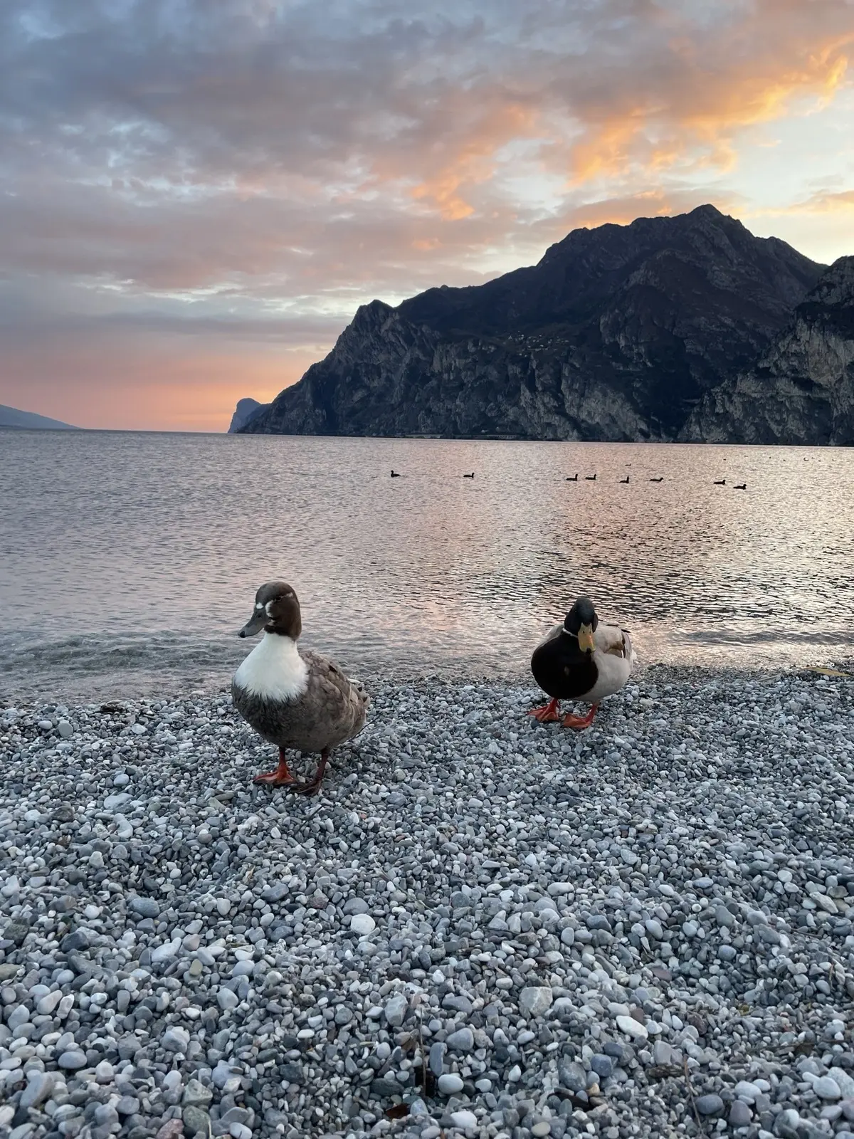 © Felix Brune, DAV Offenbach