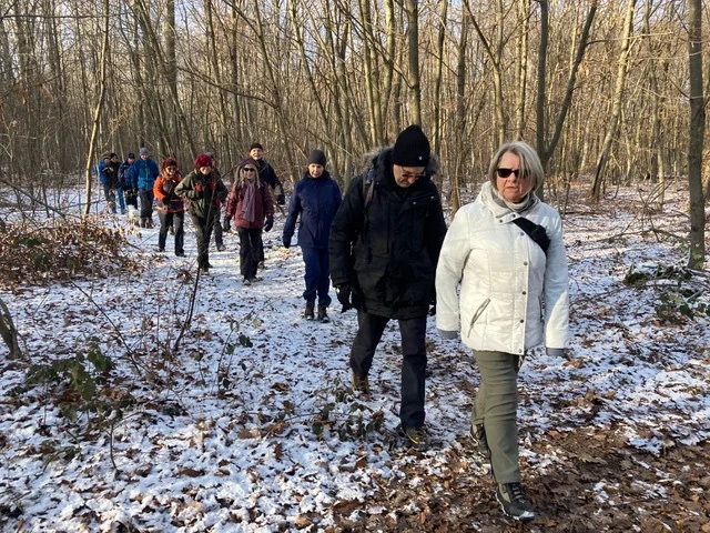 Unsere Wandergruppe im Offenbacher Stadtwald | © DAV Offenbach, Dr. Thomas Woznik