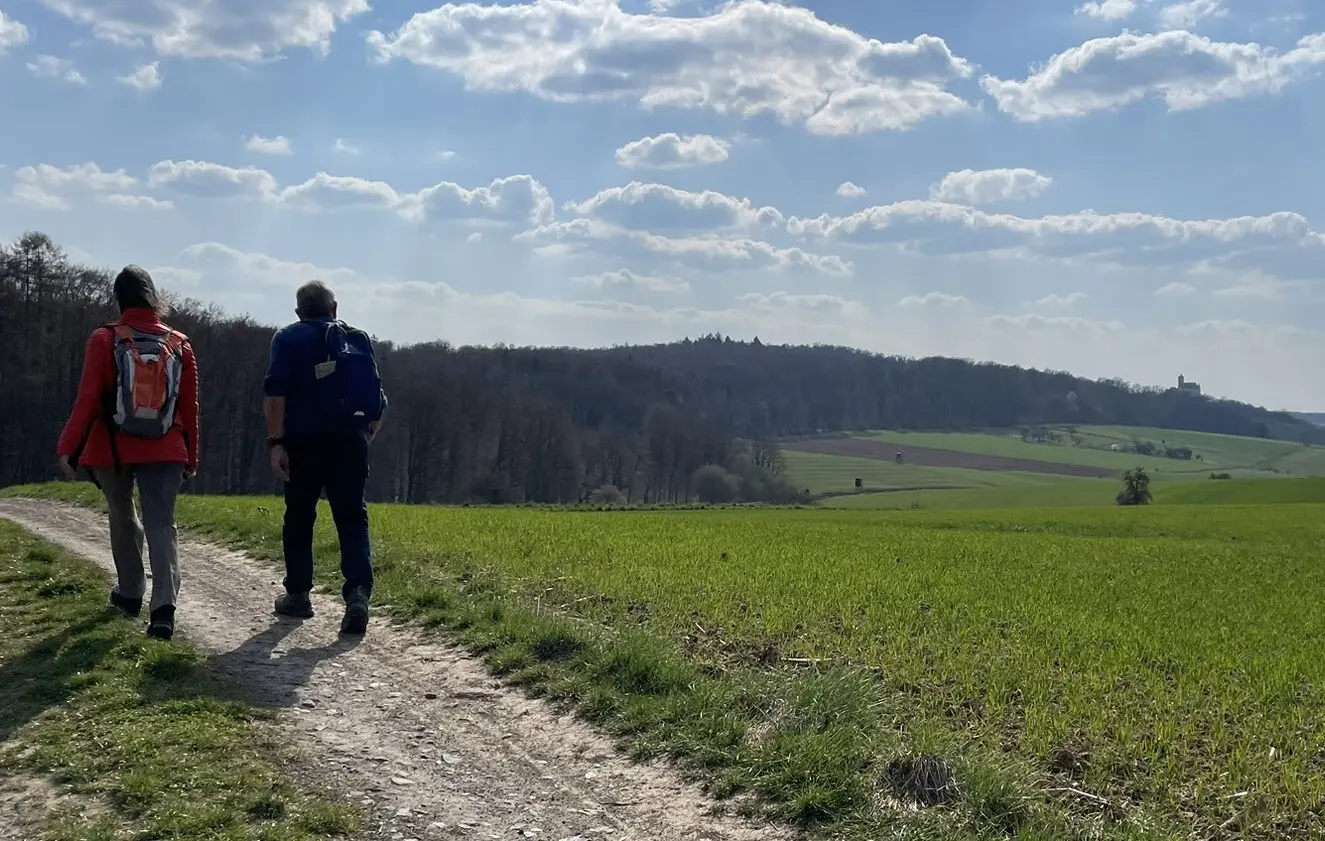 Auf dem Weg zur Ronneburg bei herrlichem Wetter. | © DAV Offenbach, Michael Jehrke