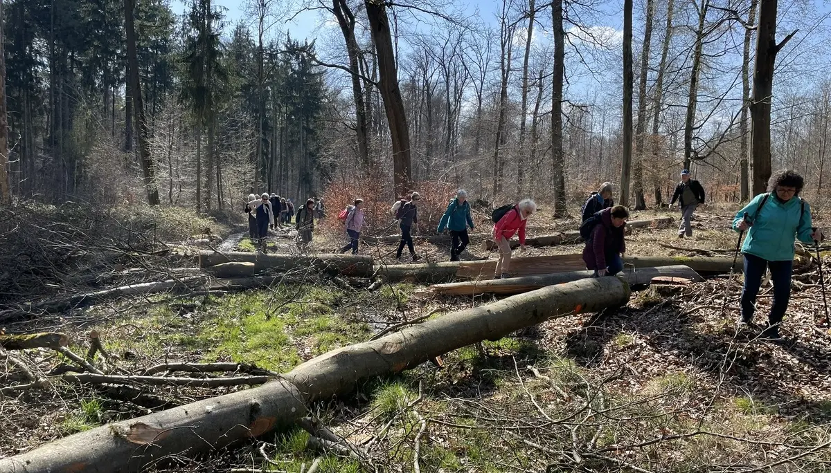 Durch Waldarbeiten blockierter Weg. | © DAV Offenbach, Michael Jehrke