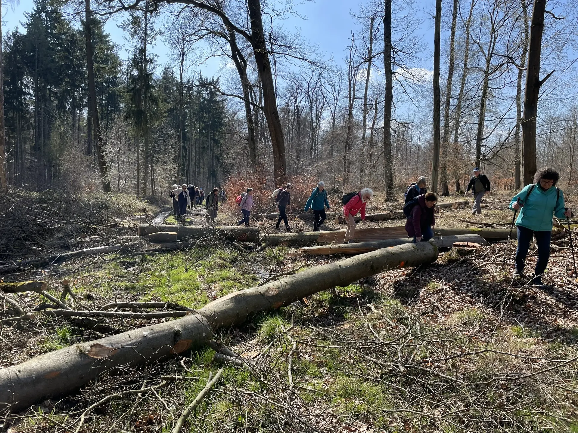 Durch Waldarbeiten blockierter Weg. | © DAV Offenbach, Michael Jehrke
