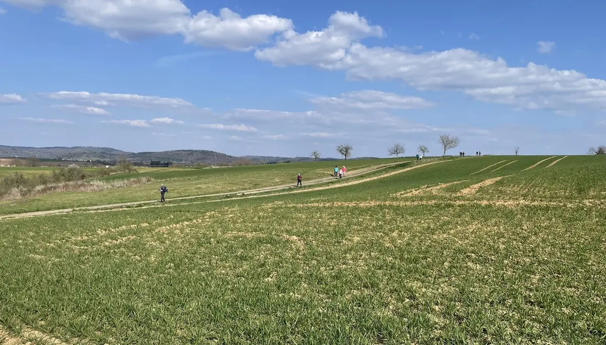 Wandergruppe auf weiter Flur bei Büdingen. | © DAV Offenbach, Michael Jehrke