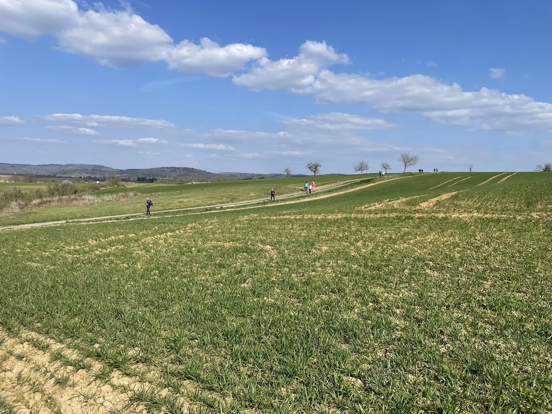 Wandergruppe auf weiter Flur bei Büdingen. | © DAV Offenbach, Michael Jehrke