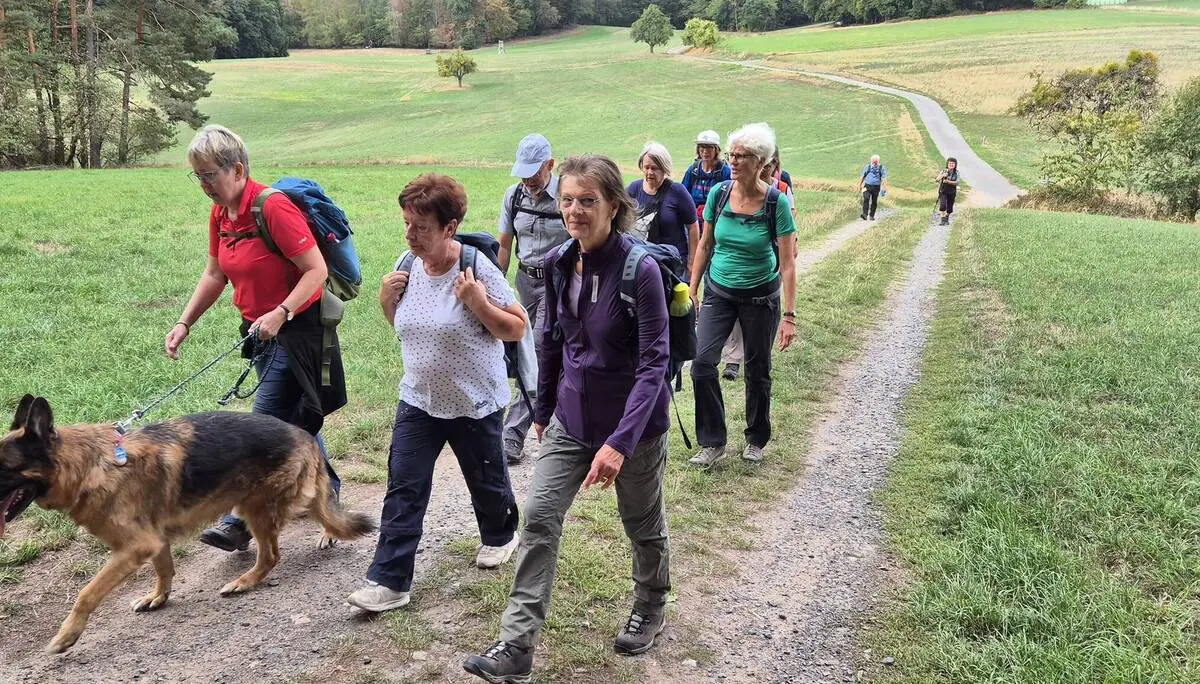 Wandergruppe unterwegs in hügeligem Gelände | © DAV Offenbach