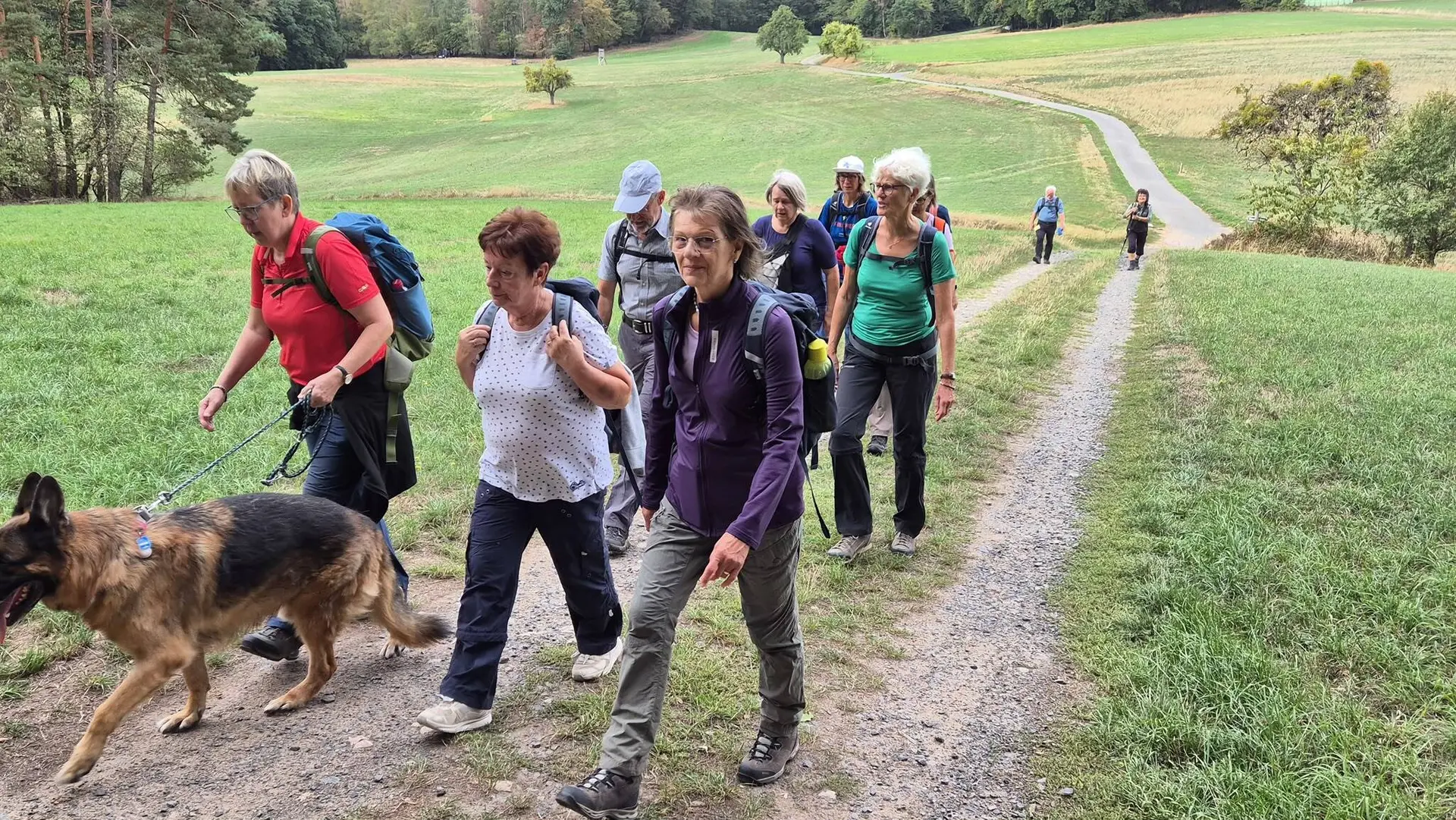 Wandergruppe unterwegs in hügeligem Gelände | © DAV Offenbach