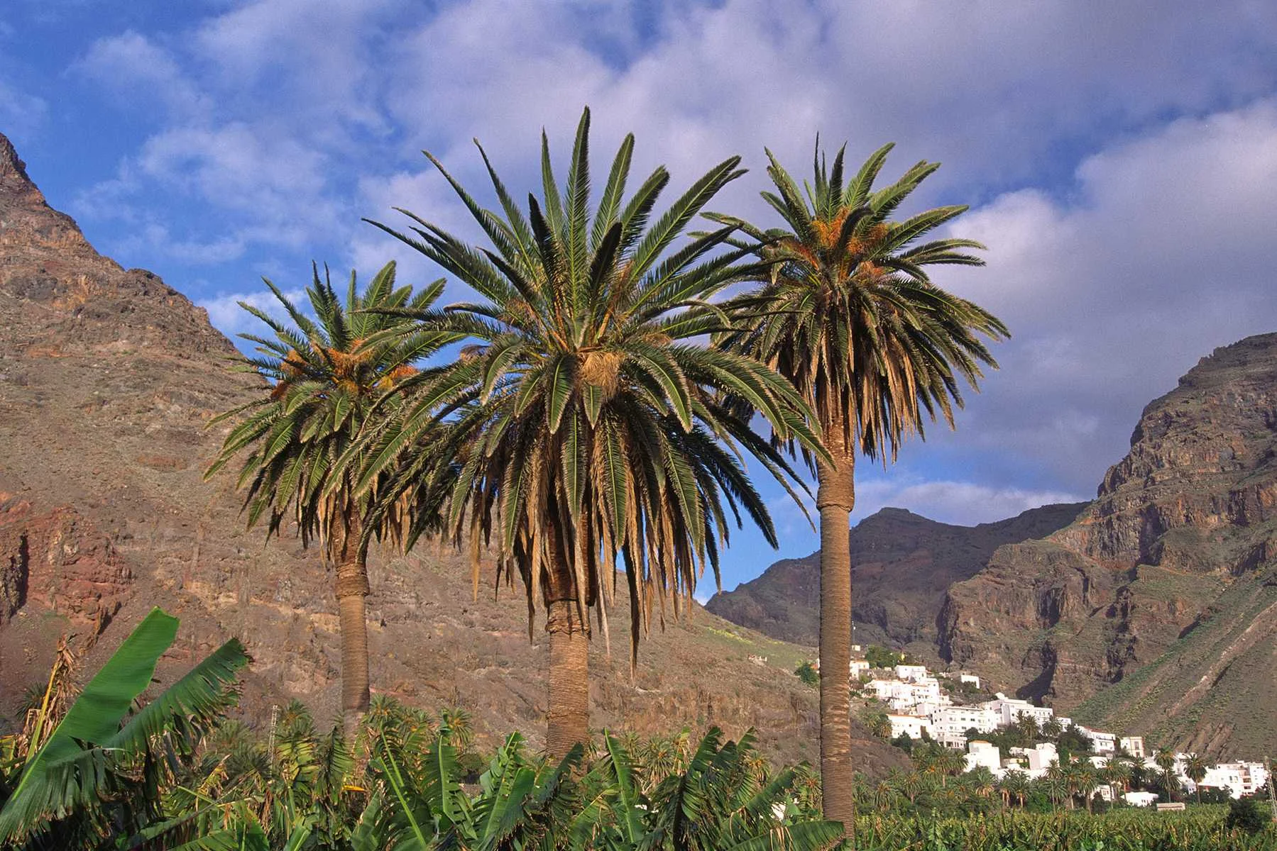 La Gomera Valle Gran Rey | © Ralf Adler