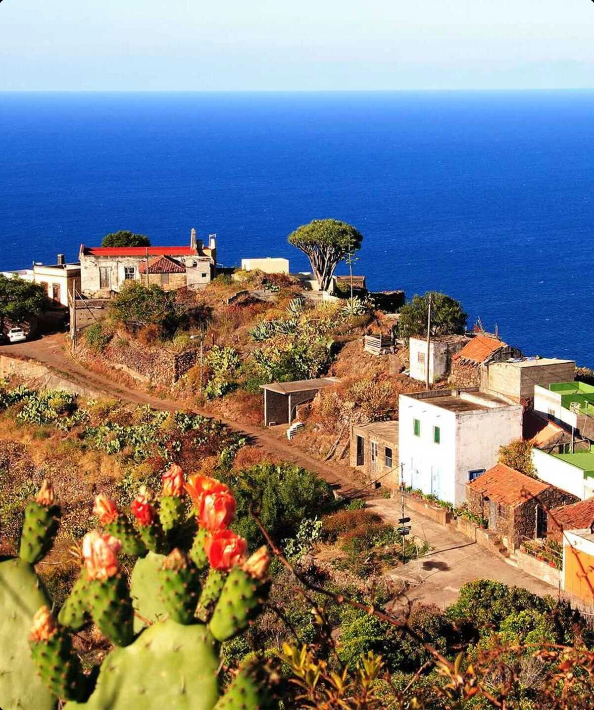 Teneriffa | © Ralf Adler