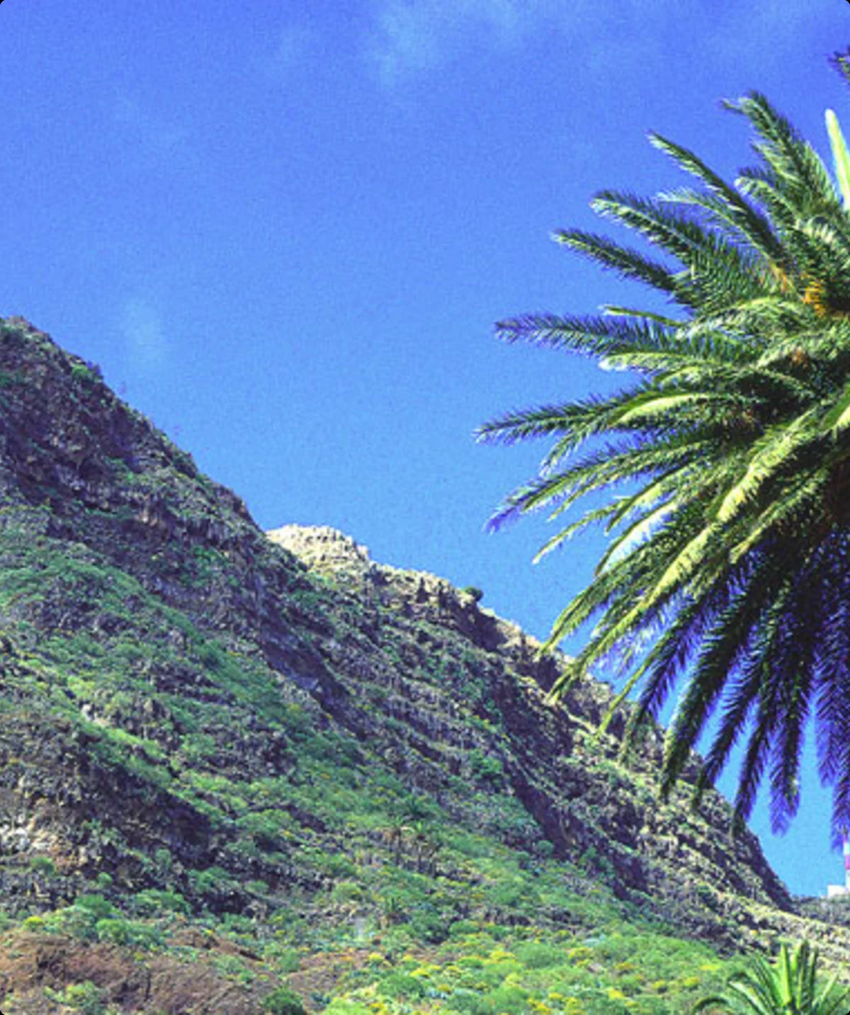 Teneriffa | © Ralf Adler