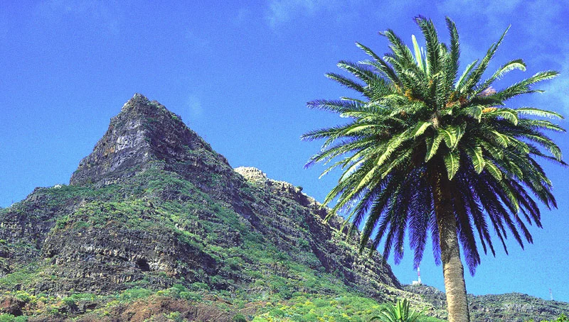 Teneriffa | © Ralf Adler