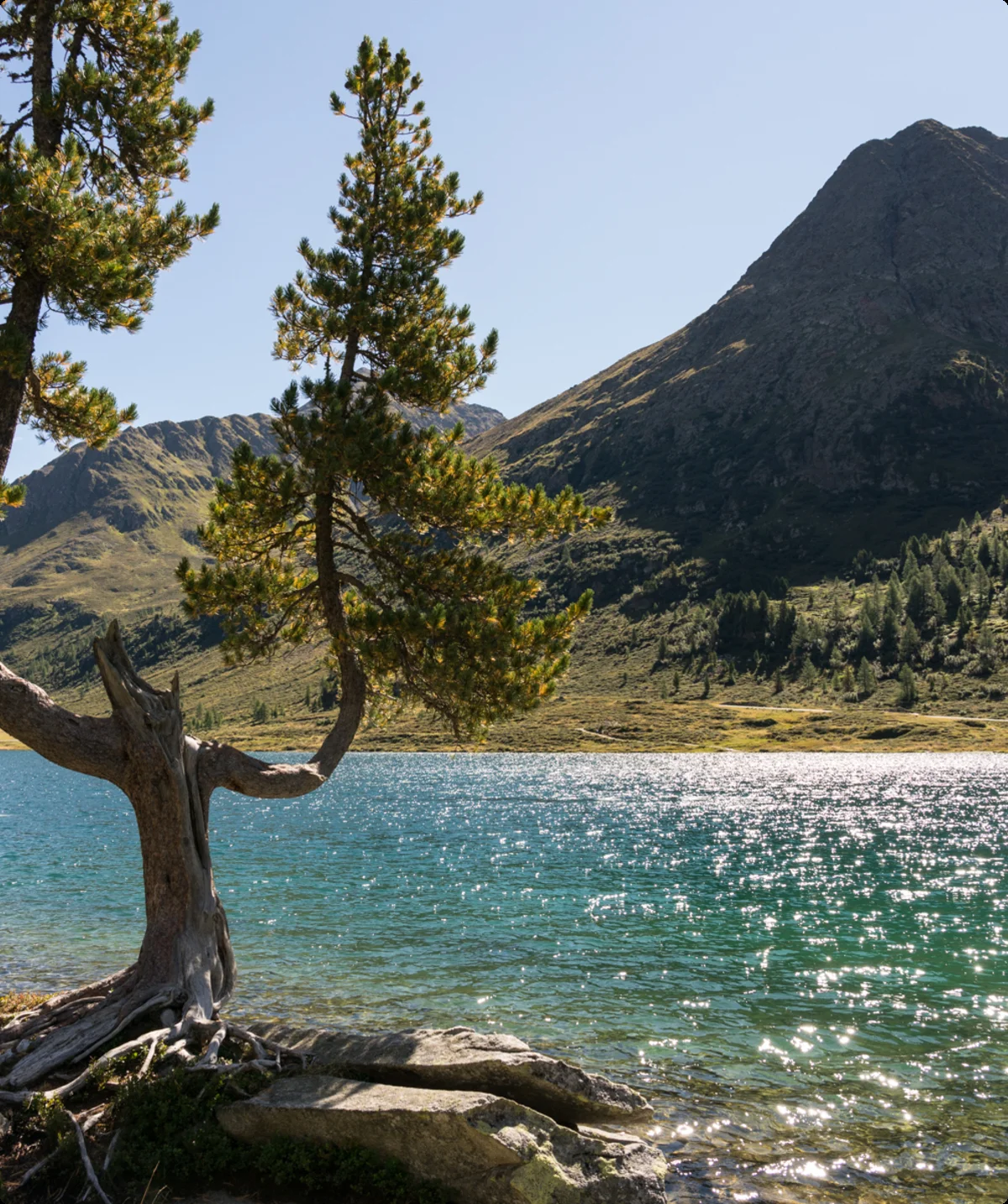Osttirol | © Bernd Bräuer