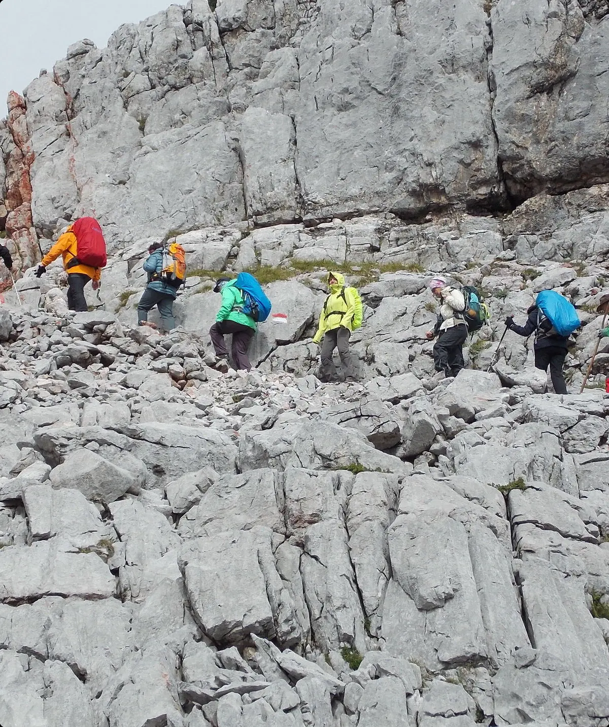 Wandergruppe in den Alpen | © DAV Offenbach