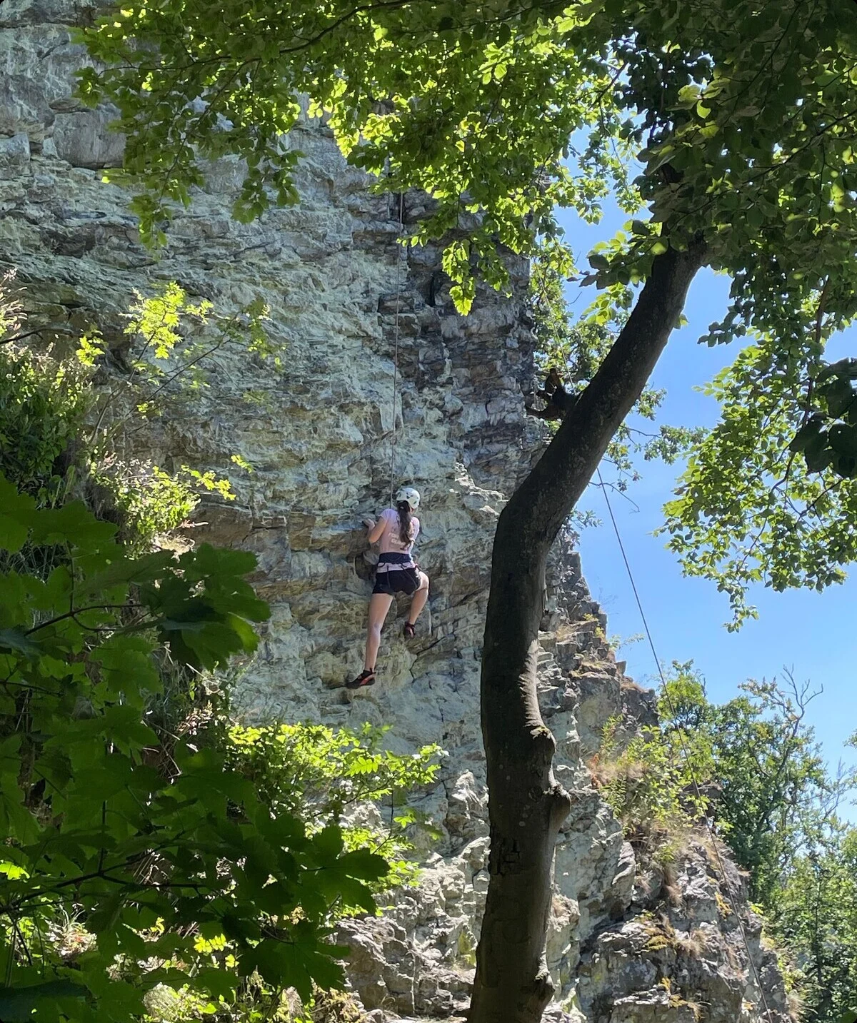 Klettern im Toprope im Klettergarten | © DAV Offenbach