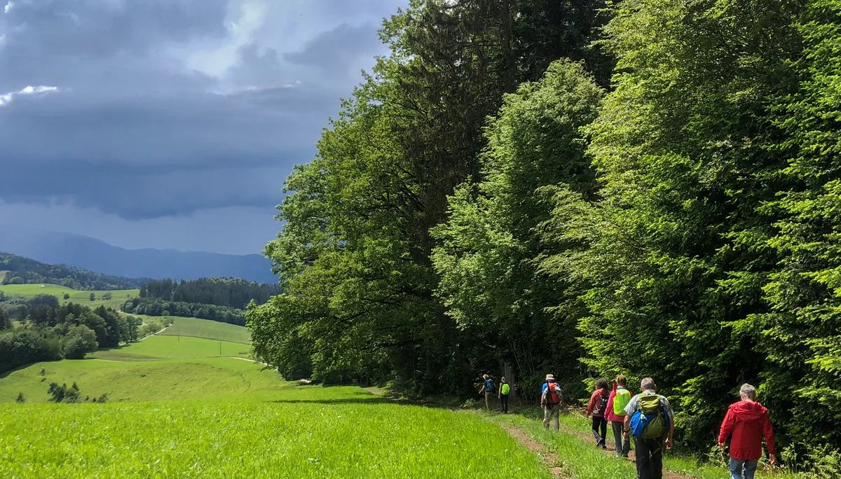 Unsere Wandergruppe unterwegs | © DAV Offenbach