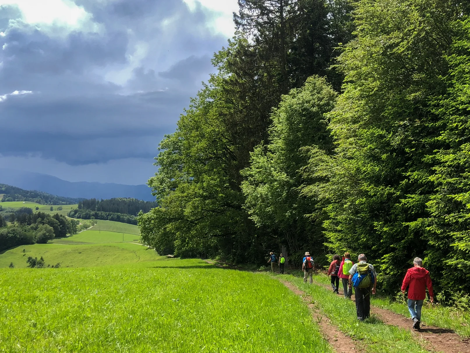 Unsere Wandergruppe unterwegs | © DAV Offenbach